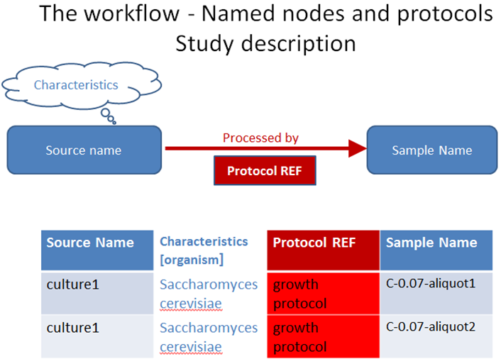 ISA-TAB Study description