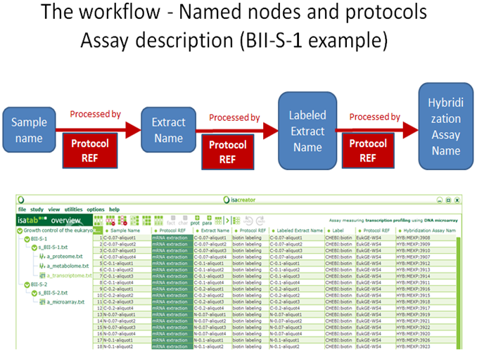 Example based on the BII-S-1 investigation