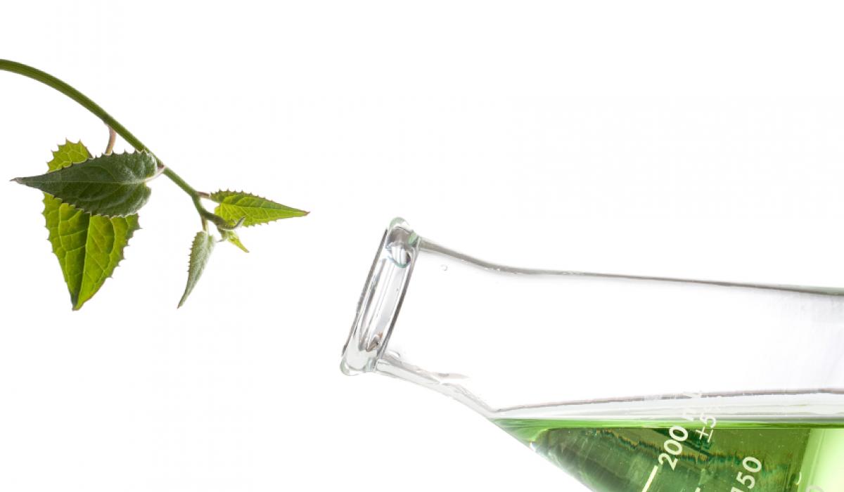 The ToxBank Data Warehouse: Supporting the Replacement of In Vivo Repeated Dose Systemic Toxicity Testing The ToxBank Data Warehouse: Supporting the Replacement of In Vivo Repeated Dose Systemic Toxicity Testing